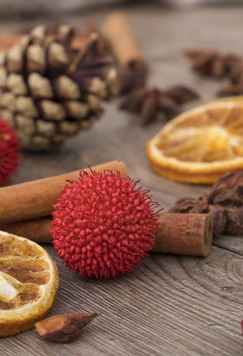 Variété d'épices et de fruits secs.